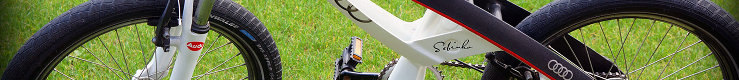 bike - Audi1