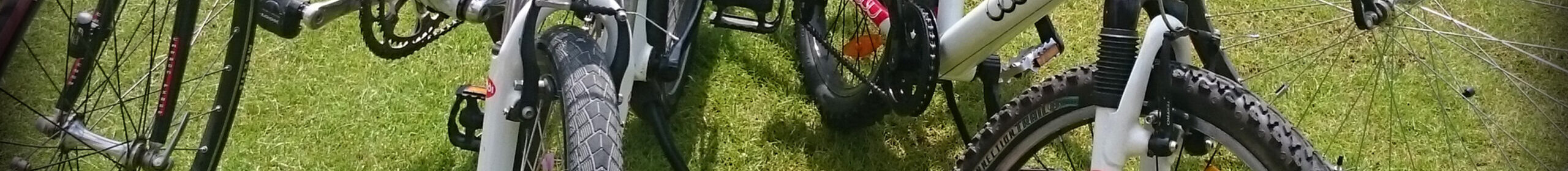 bike - Audi2