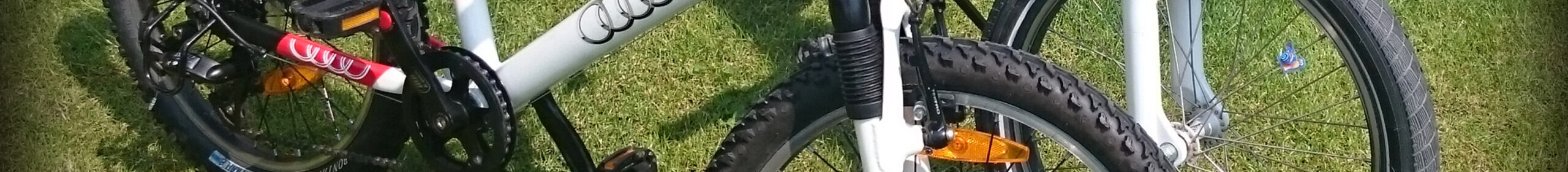 bike - Audi3