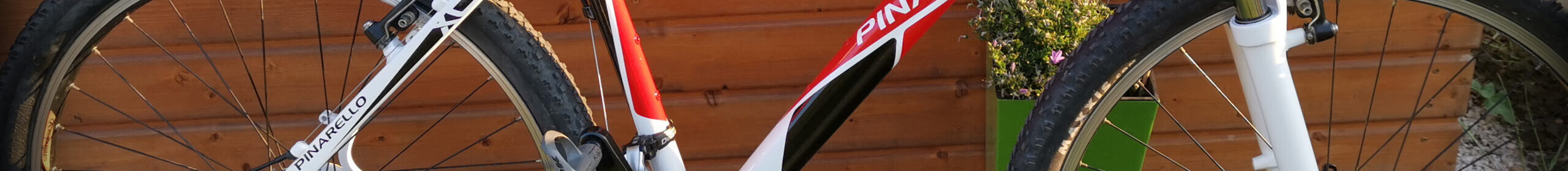 bike - Pinarello2
